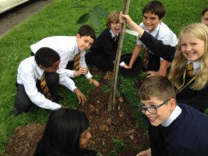 News - FHS Tree Planting Image