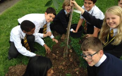 Planting memories at Fairfield High School