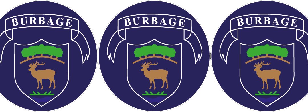 Burbage Primary School Gains School Games Award