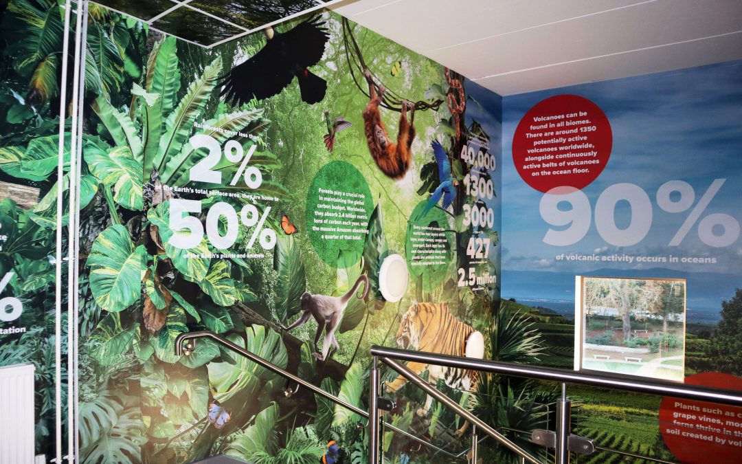 Introducing The Wren’s Eco Stairwell
