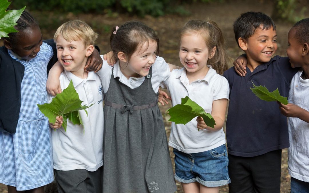 Consultation on Proposed Merger of Excalibur Academies Trust & Gatehouse Green Learning Trust