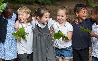 Consultation on Proposed Merger of Excalibur Academies Trust & Gatehouse Green Learning Trust