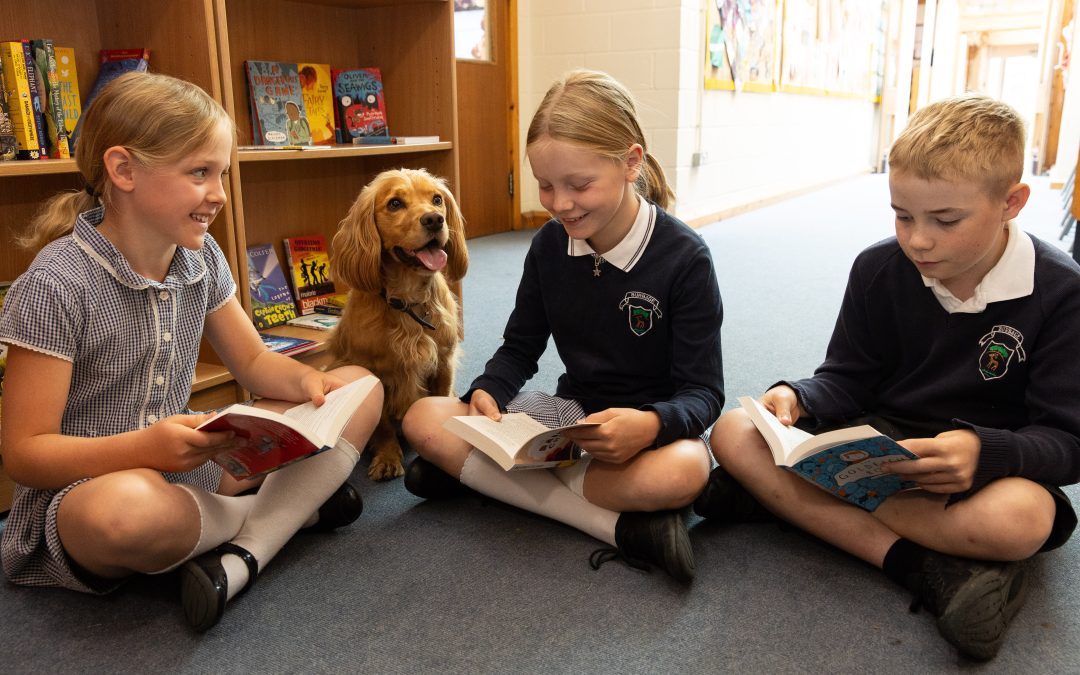 Successful year with ‘Books for Burbage’ & Sporting Triumphs