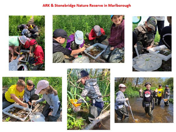 Lambourn shares its exciting and enriching term